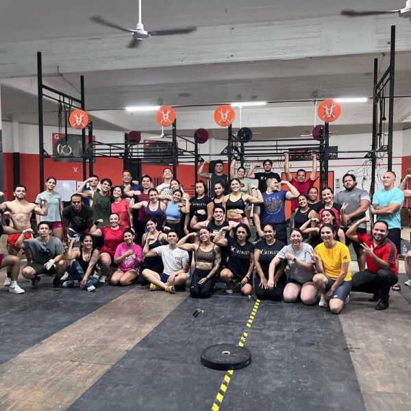 365784479 857254372690834 822302690813124415 n