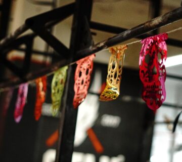 375601694 18235255951213490 6849439082829832841 n 360x320